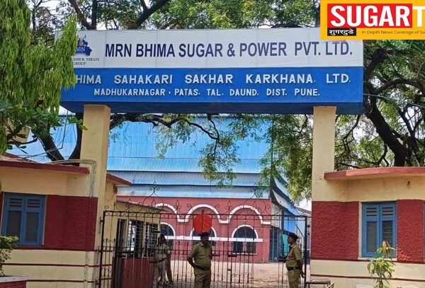 Bhima Patas Sugar