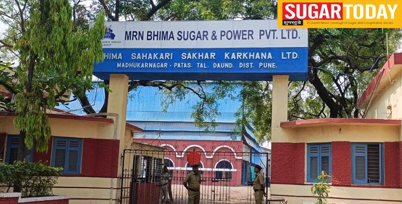 Bhima Patas Sugar