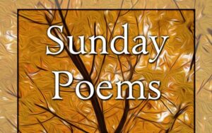 Sunday Poem