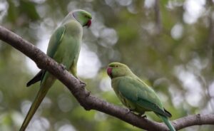 W R Aher Sunday Poem