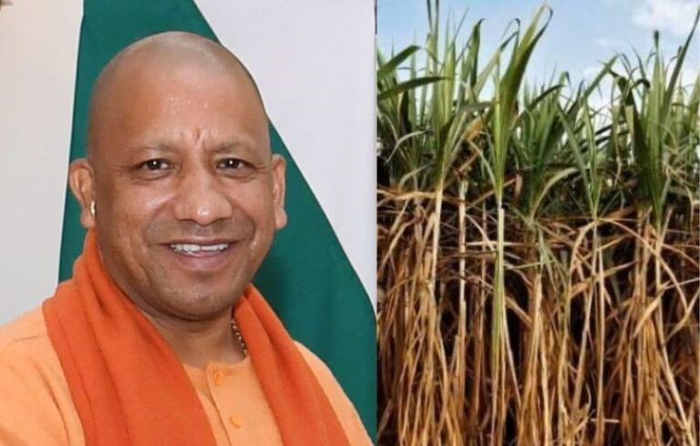 Yogi Adityanath UP